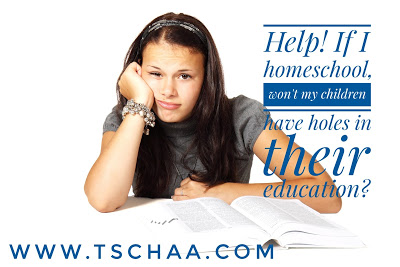 This image has an empty alt attribute; its file name is holesineducation.jpeg